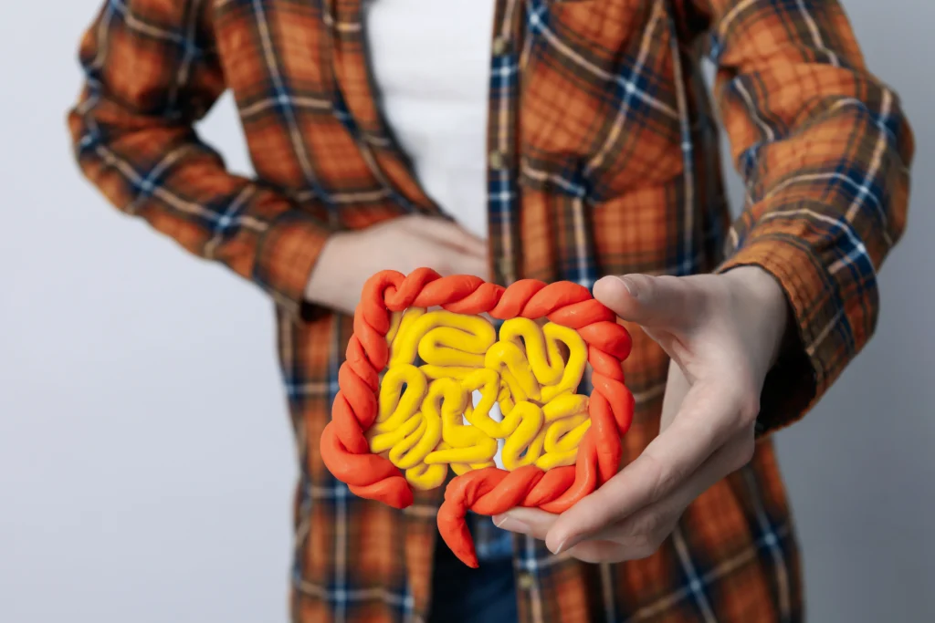 A person holding a clay model of human intestines, symbolizing Crohn's disease.